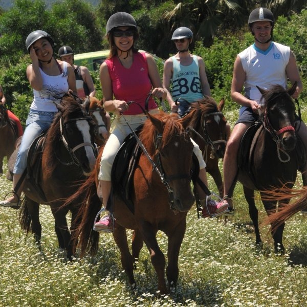 Horse Safari Tour